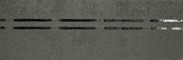 Коньково-карнизная черепица Docke Premium, авокадо купить в Наволоках